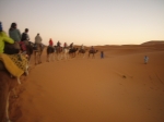 atlante,deserto,sahara,kasbah,ait benhaddou,merzouga,cammello,dades,todra,canyon,gole,dune di sabbia